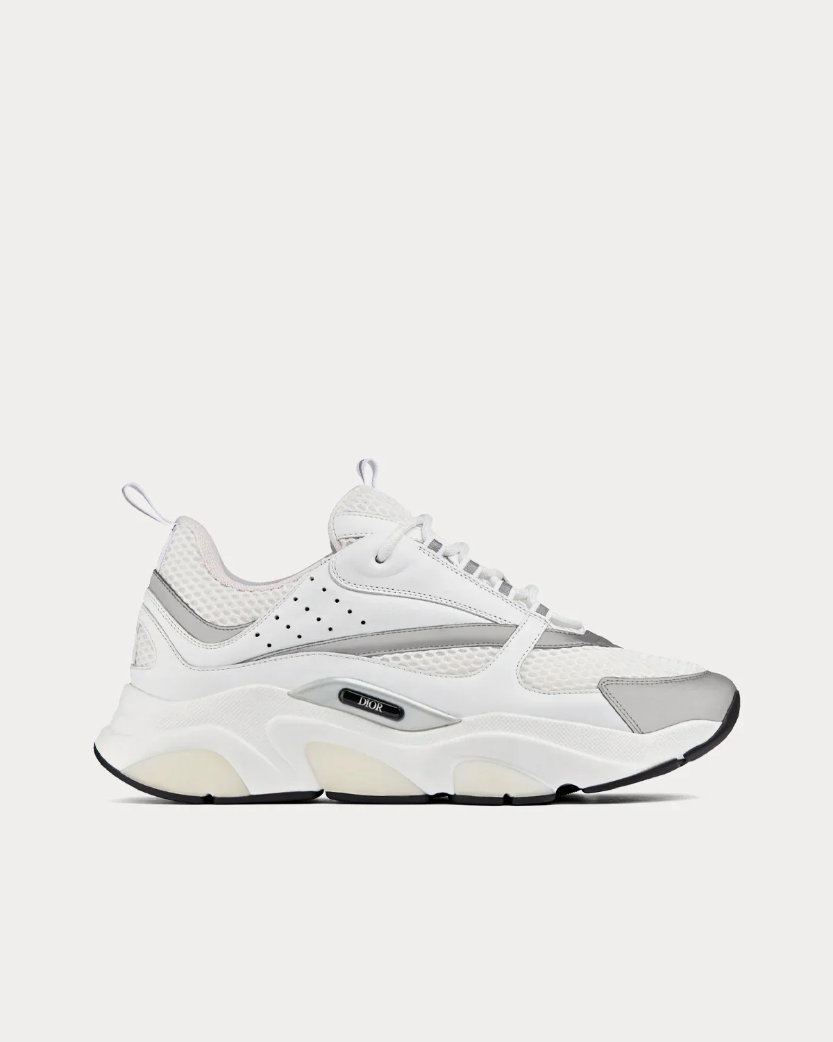 Dior B22