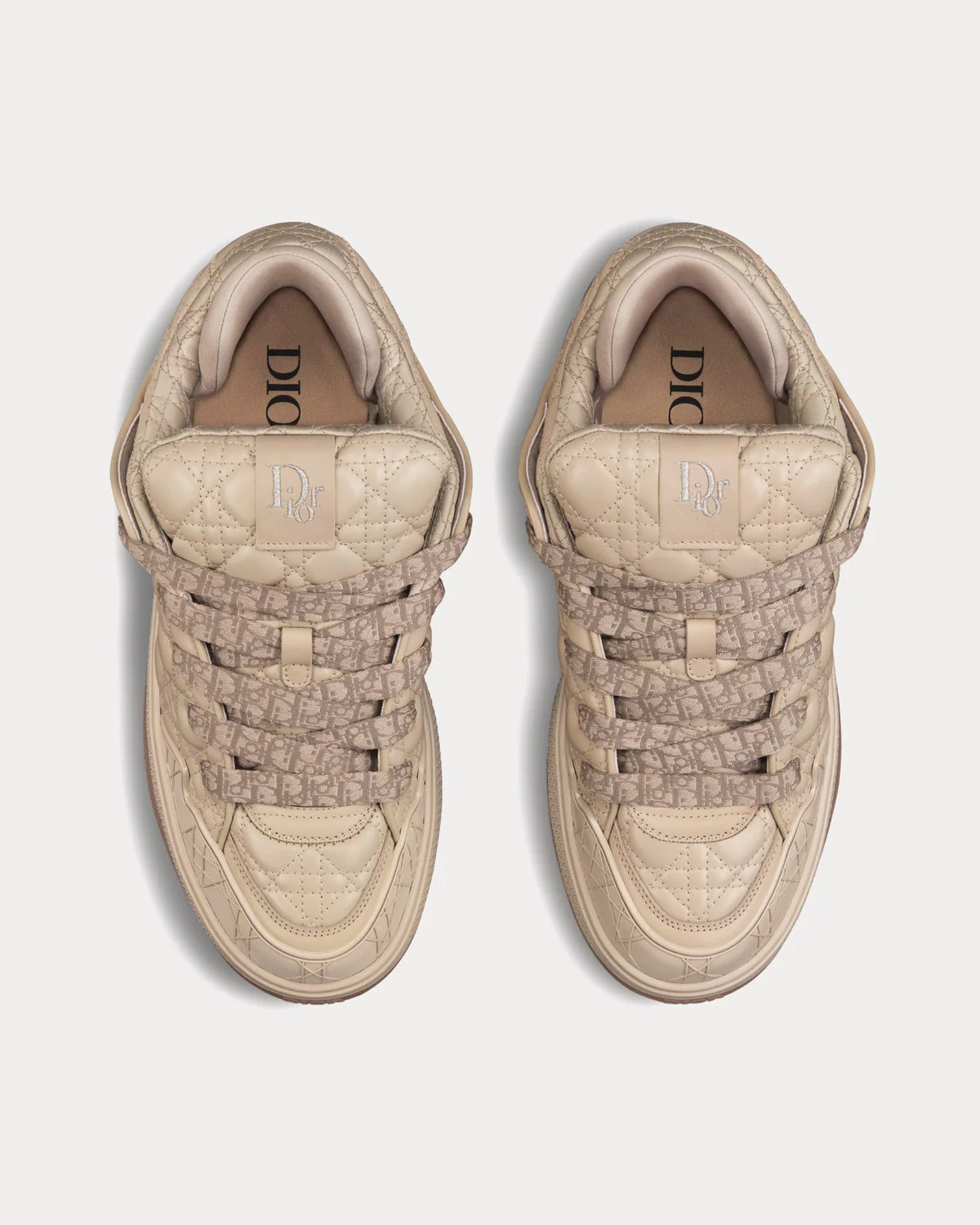Dior B9S Skater 2