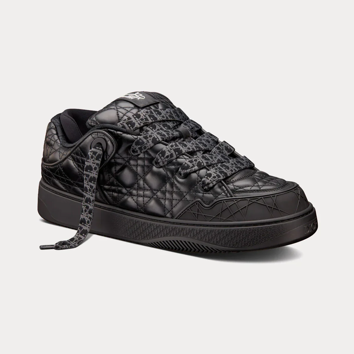 Dior B9S Skater 2