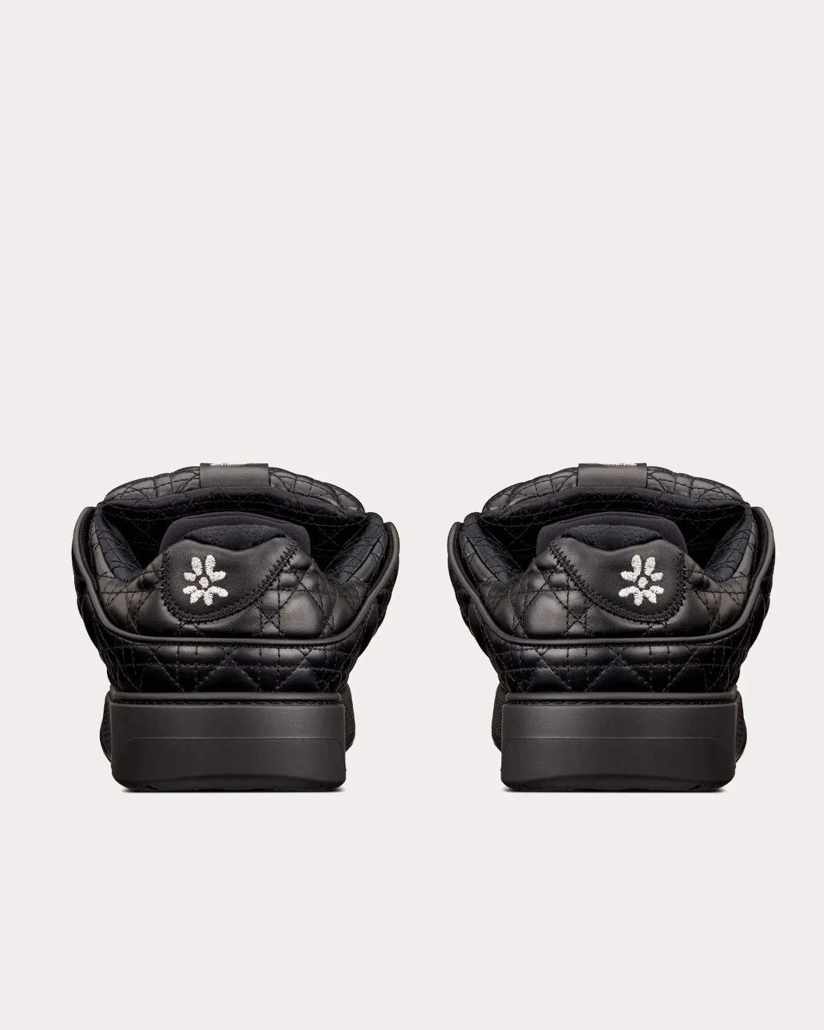 Dior B9S Skater 3